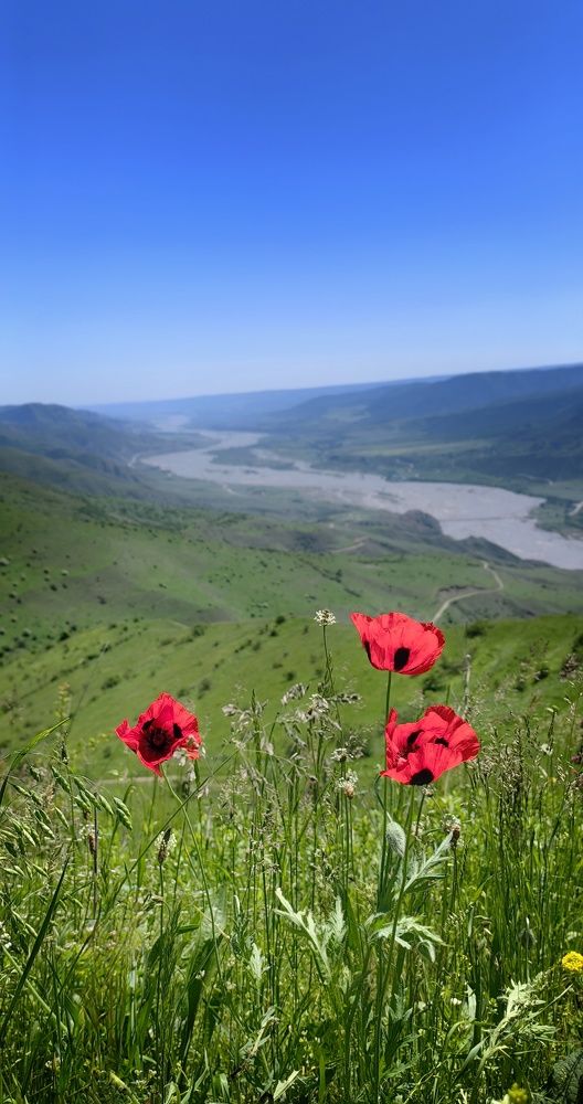 Photograph by Наталия Мельникова