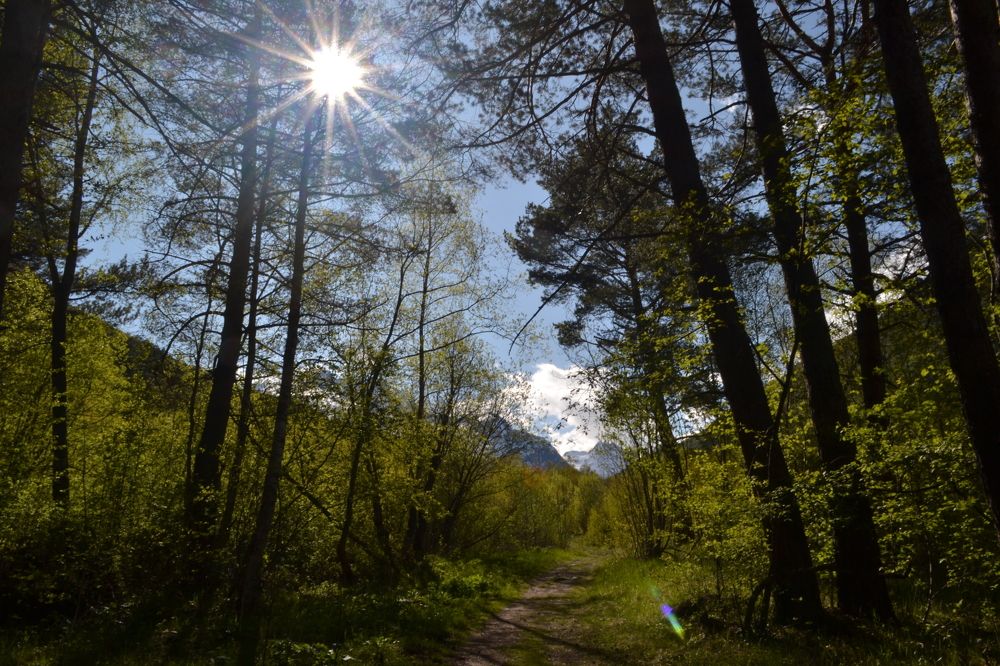 Photograph by Надежда Чаплынская