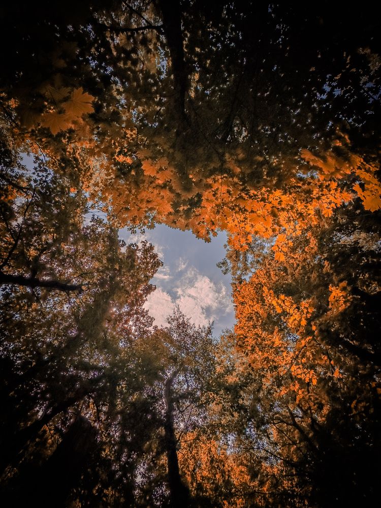 Photograph by Dzhafar Mekhtiev