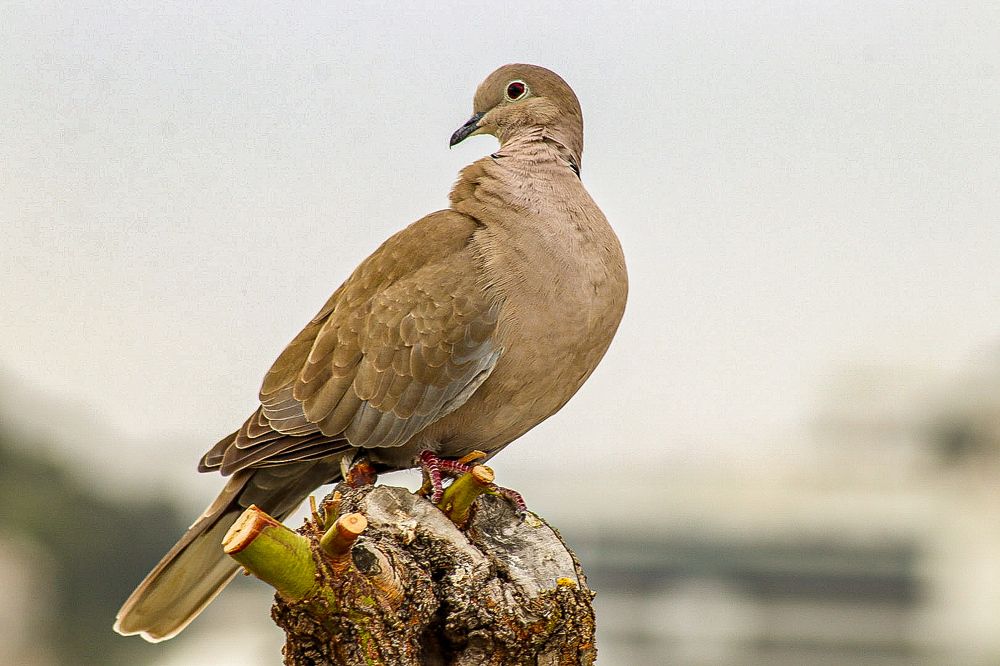 Photograph by Елена Рудкевич