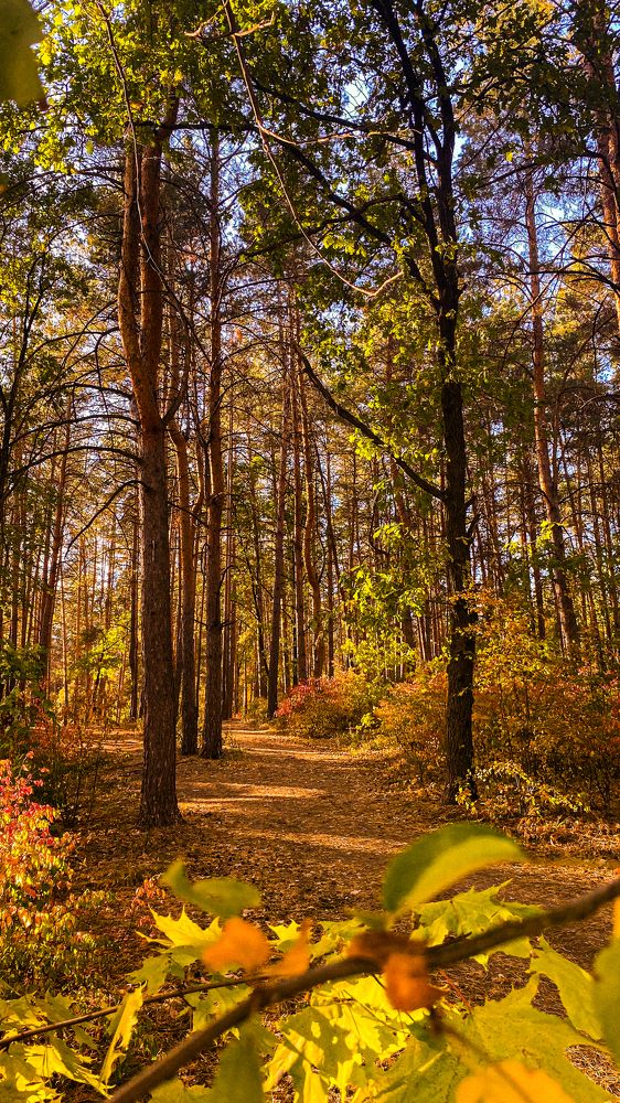 Photograph by Грим Денис