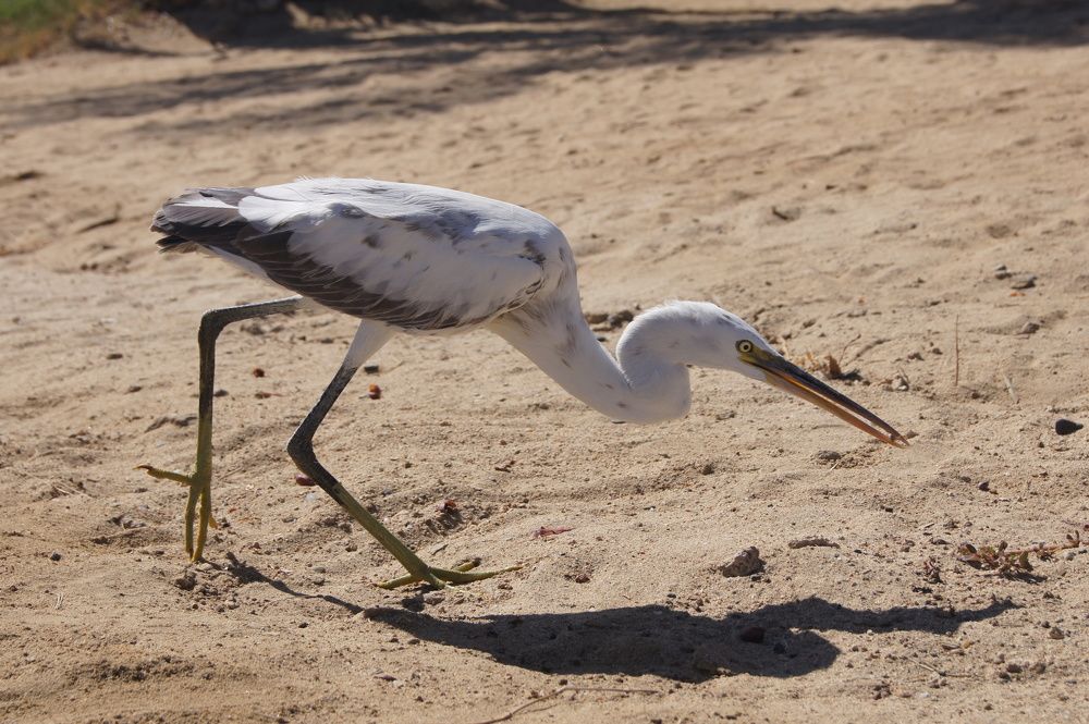 Photograph by Светлана Стрельцова