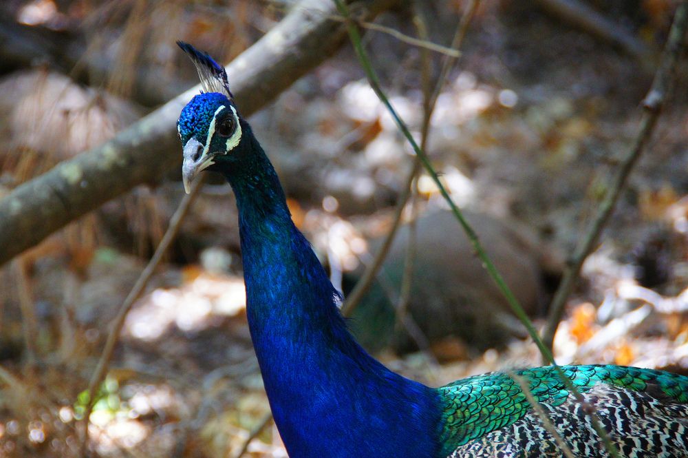 Photograph by Светлана Стрельцова