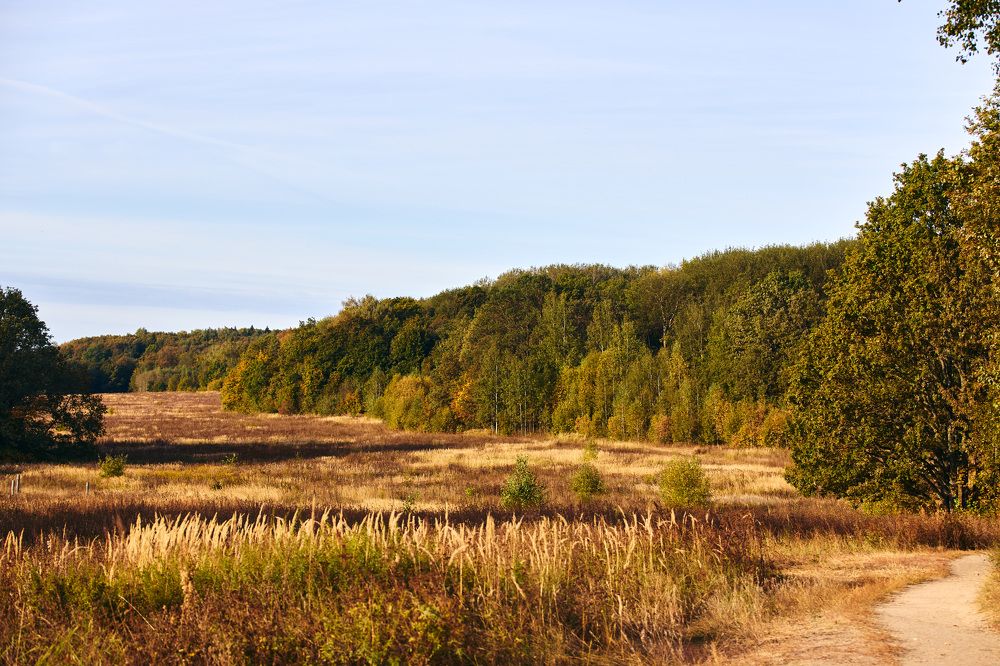 Photograph by Константин Федяев