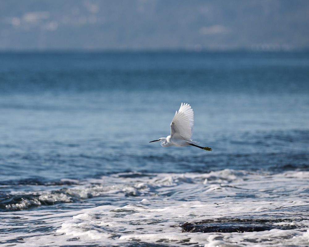 Photograph by Gerasimov Anton