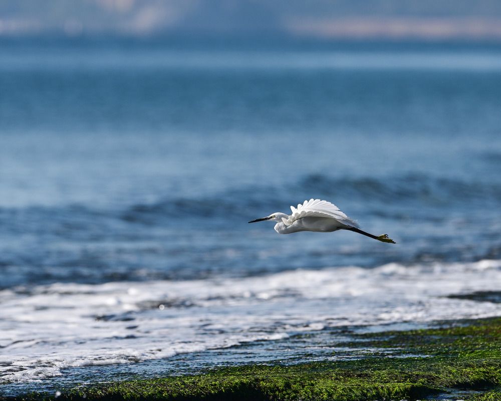 Photograph by Gerasimov Anton