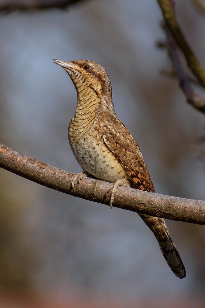 Photograph by Евгений