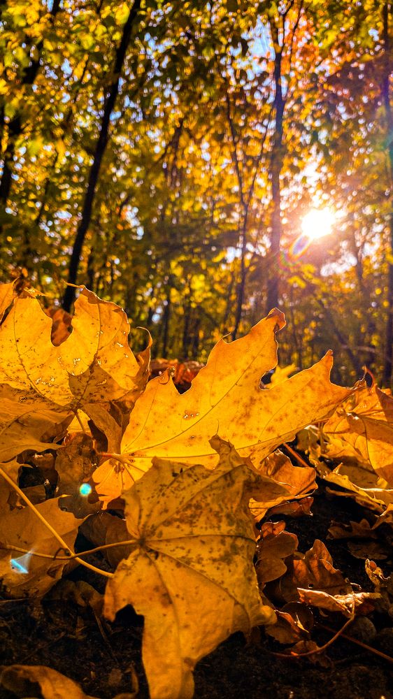 Photograph by Грим Денис