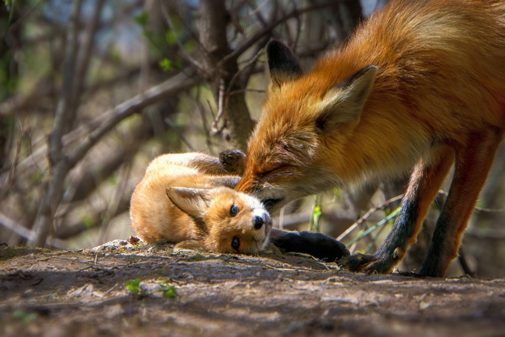 Фотография автора Марина