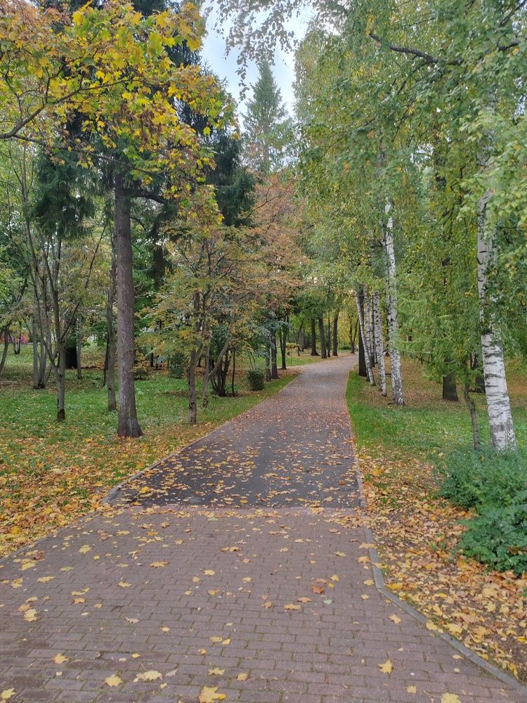 Photograph by Ирина Дружинина