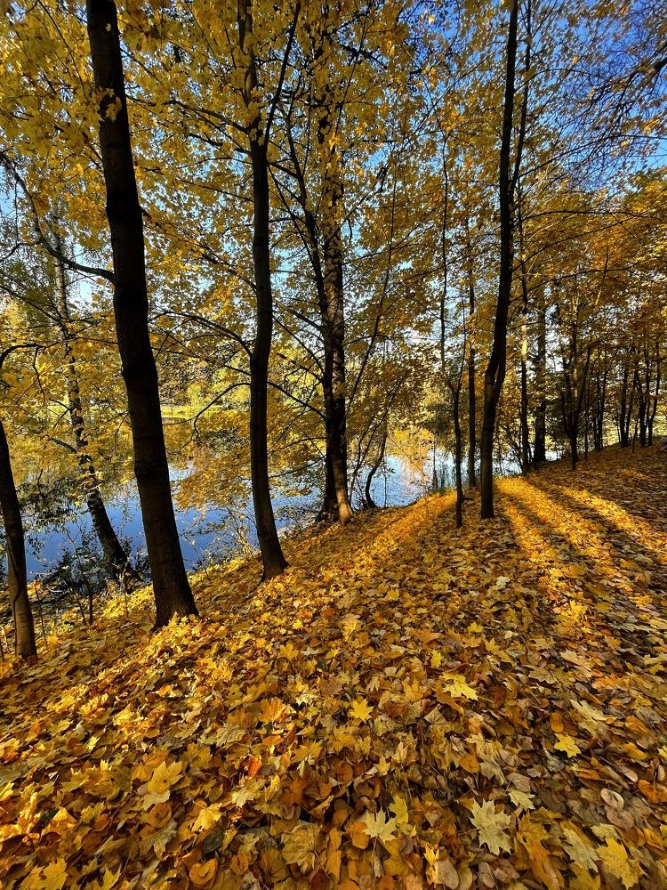 Фотография автора Юлия Косинова