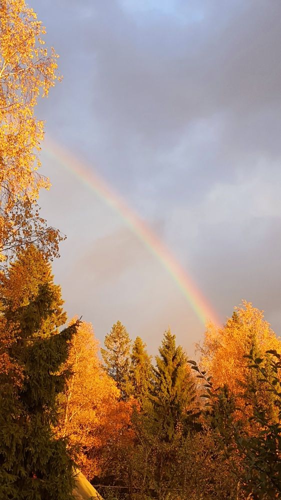 Photograph by Виктория Образцова