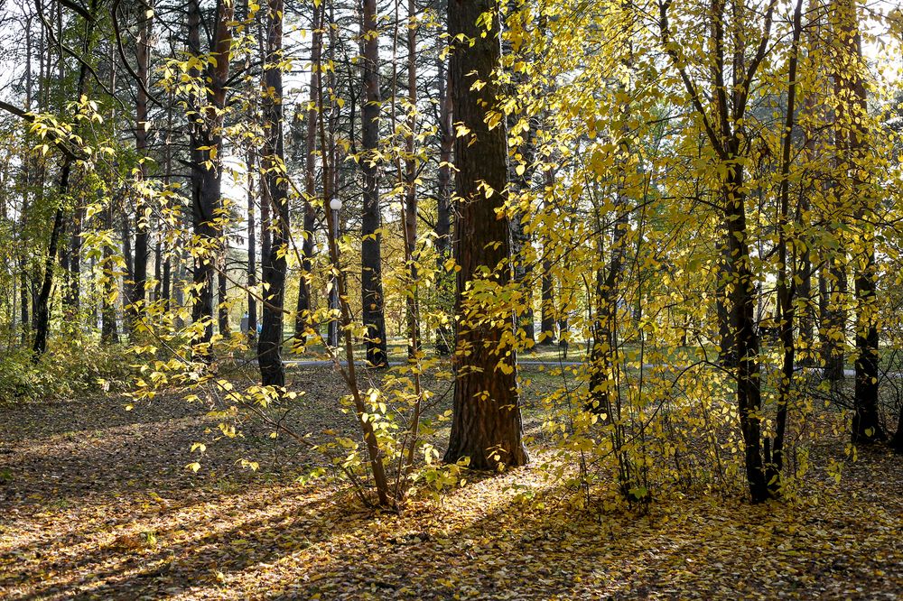 Photograph by Татьяна Атисс