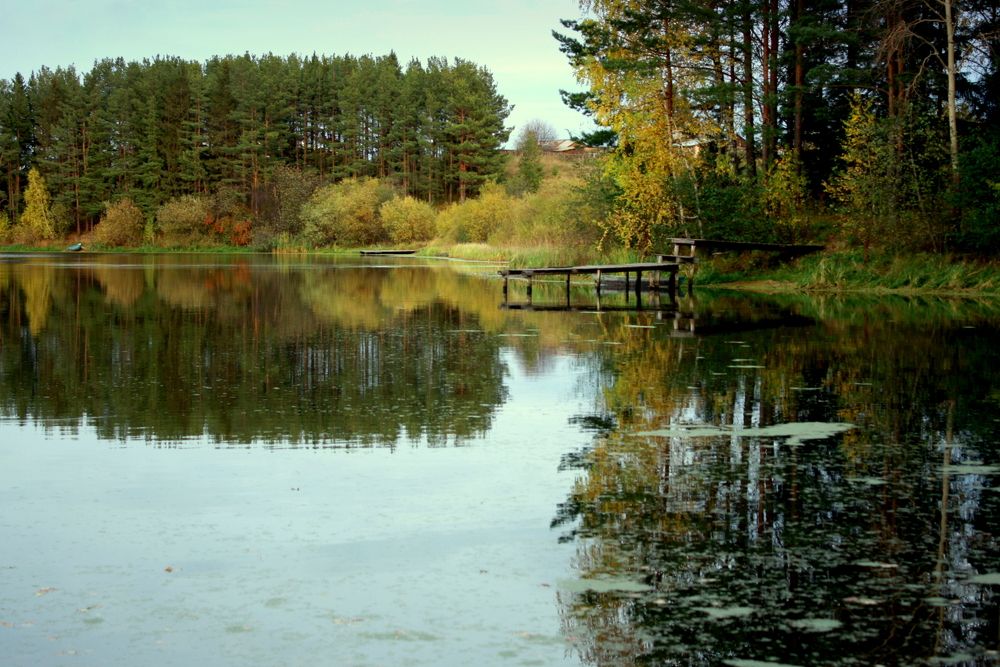 Фотография автора Nelya  Lysenko