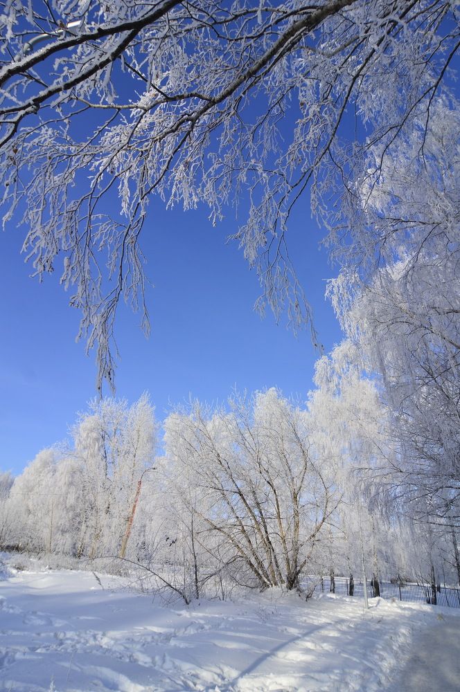 Фотография автора Клавдия Васильева