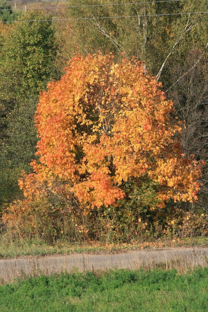 Photograph by Павел Nikulochkin