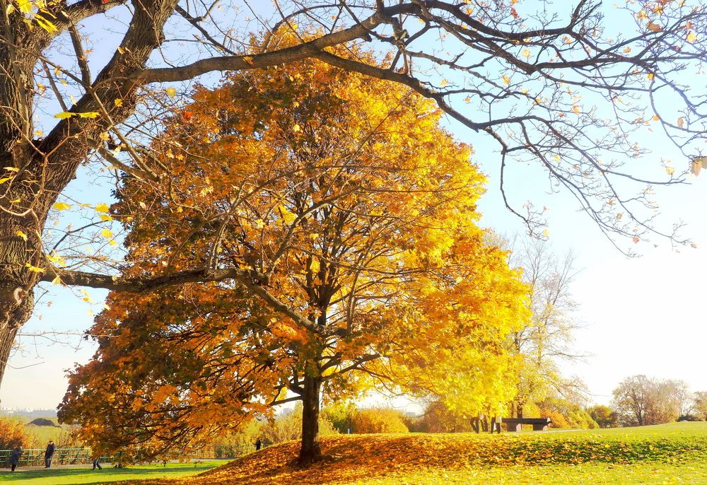 Photograph by Tatyana Markova