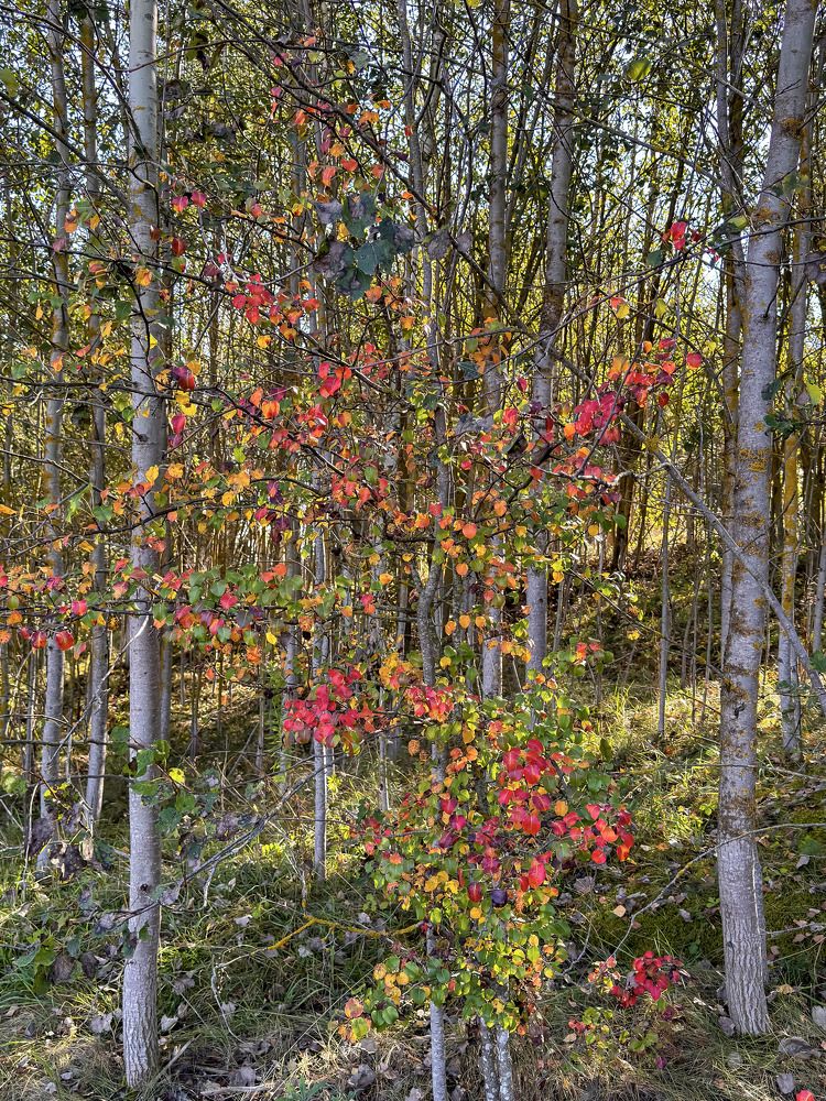 Photograph by Сергей Аверченко