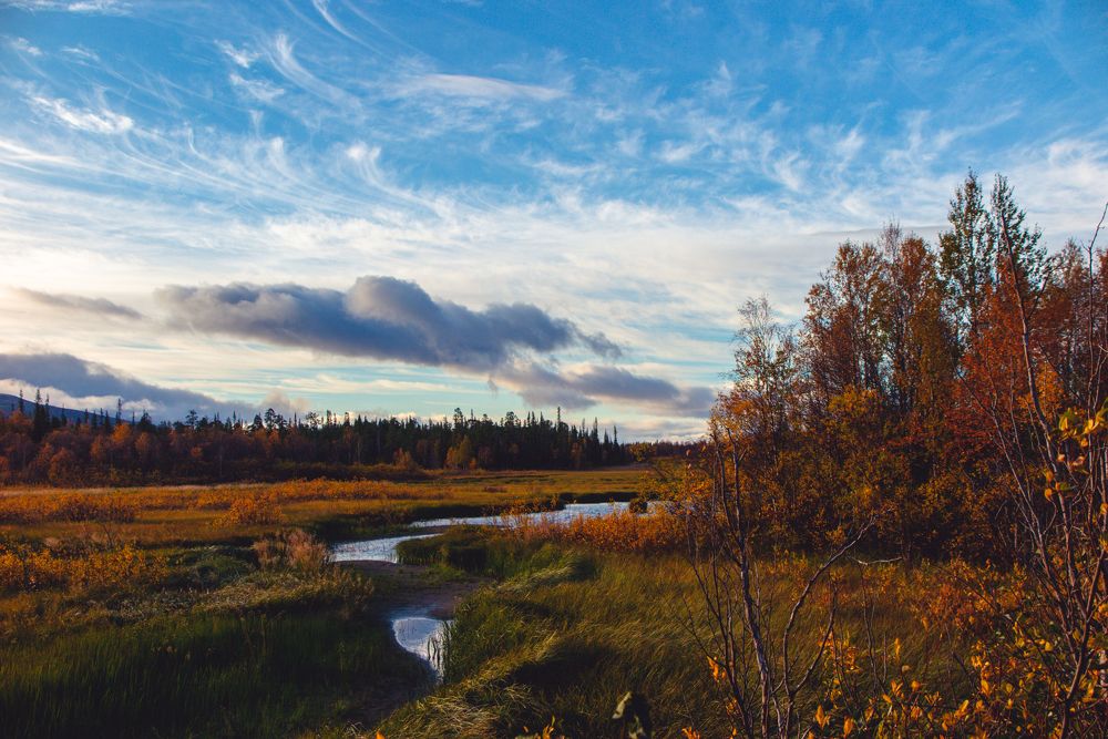 Photograph by Галина Андреева
