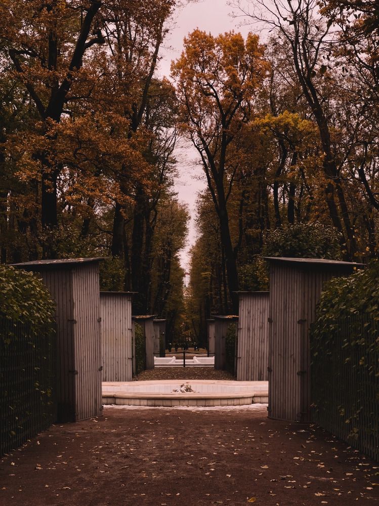 Photograph by Алиса Нежинская