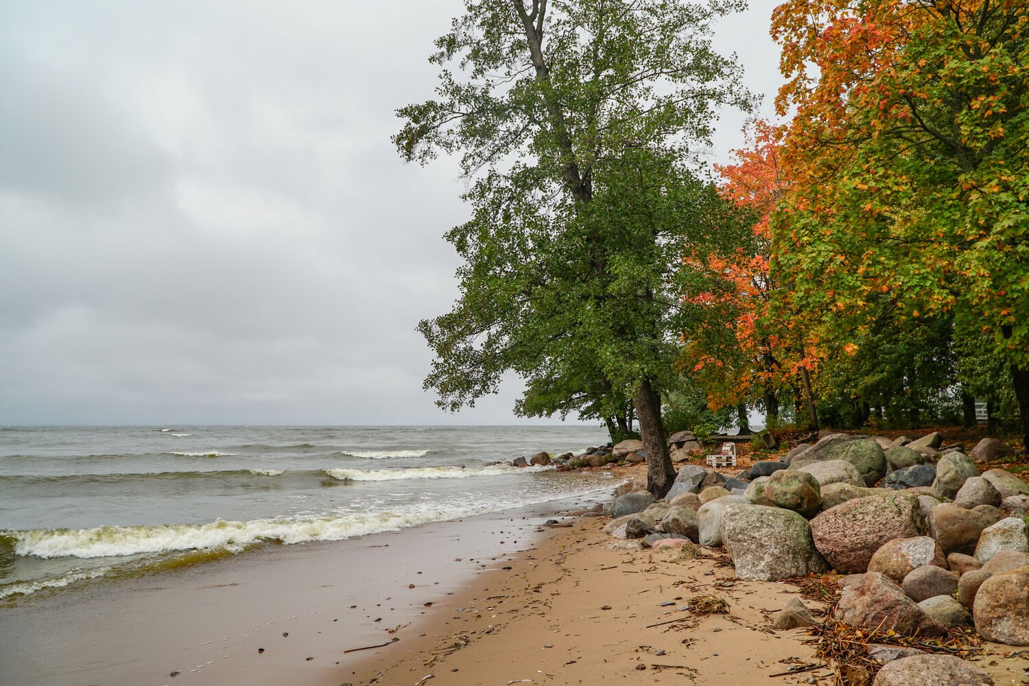 Photo #11094022