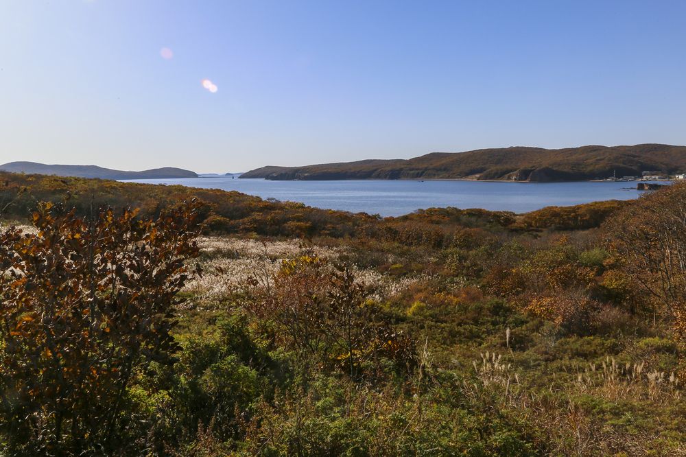 Photograph by Татьяна Атисс