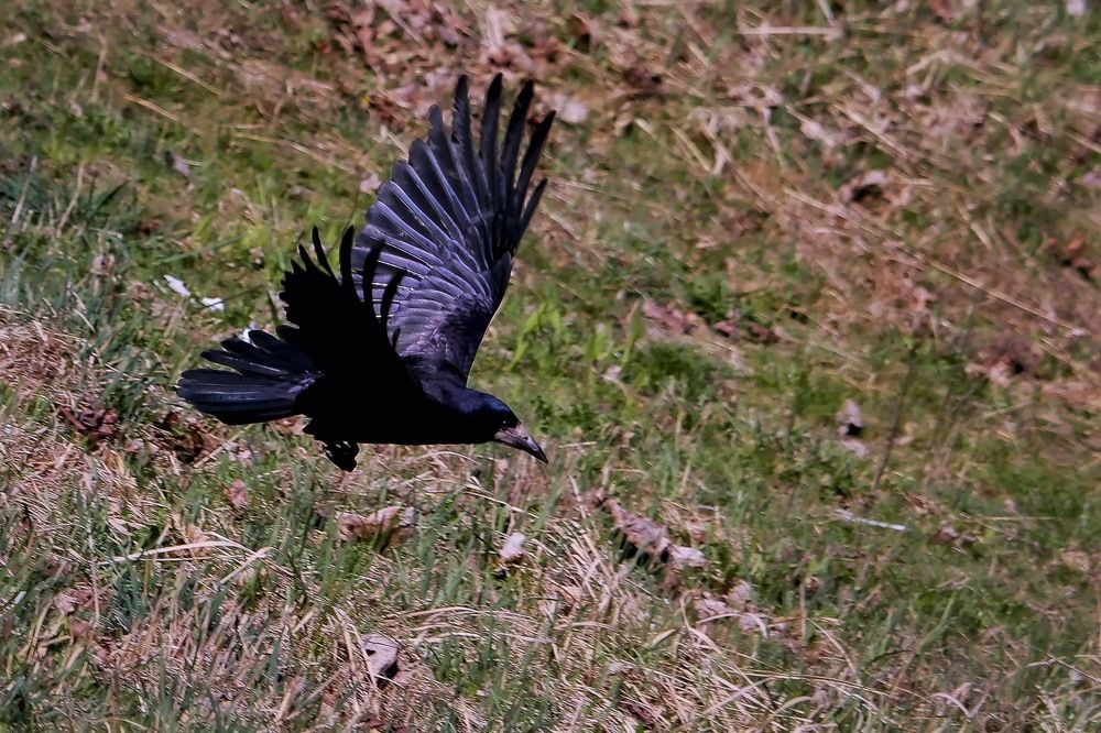 Photograph by Aleksandr Larionov