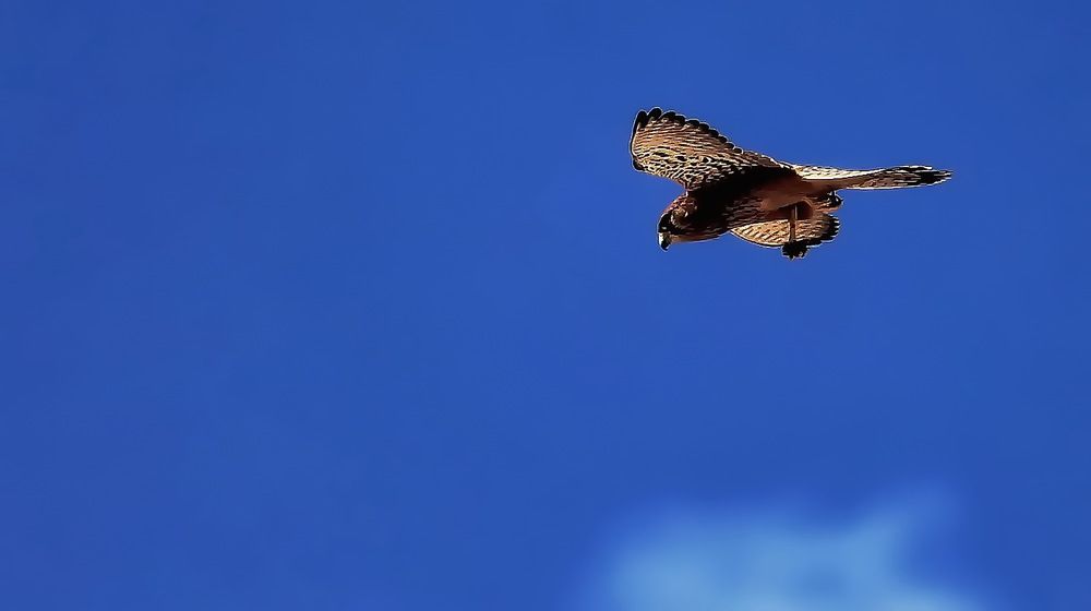 Photograph by Aleksandr Larionov