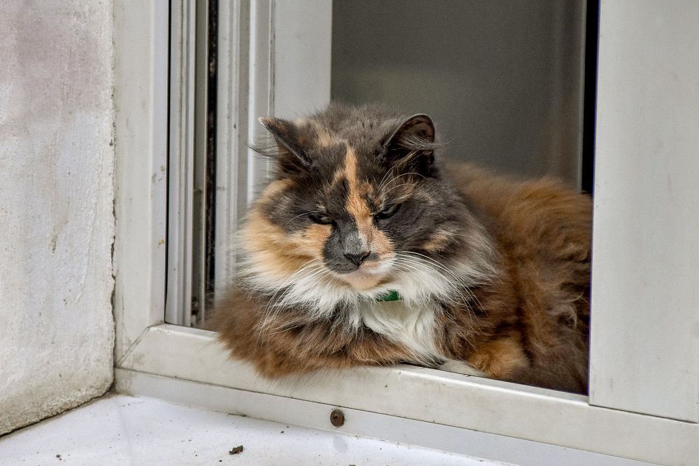 Photograph by Igors Rostikovs