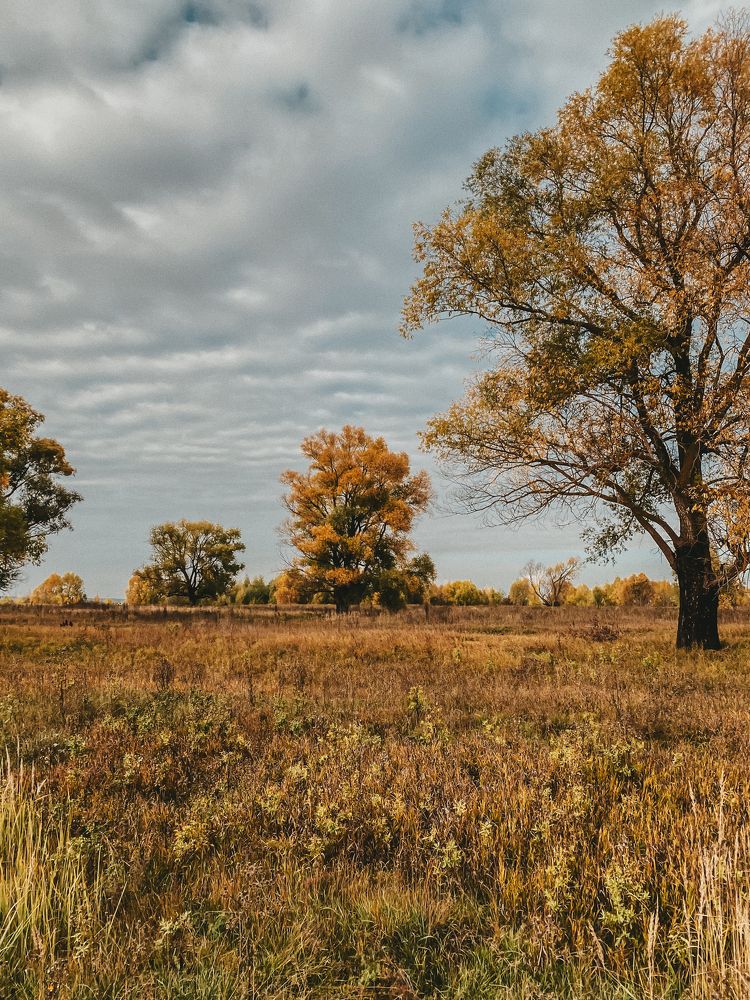 Photograph by Анна