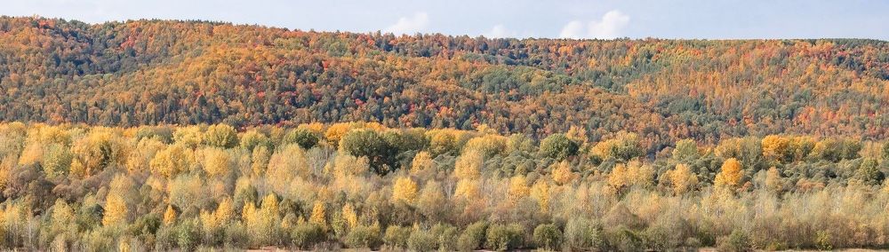 Photograph by Кермен Манджиева