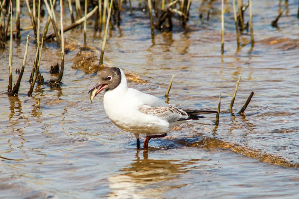 Photograph by Igors Rostikovs