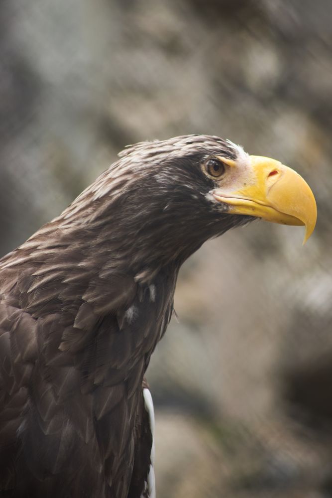 Photograph by Alexey Zakusov