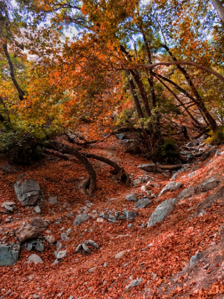 Фотография автора Mahdi Mohammadi