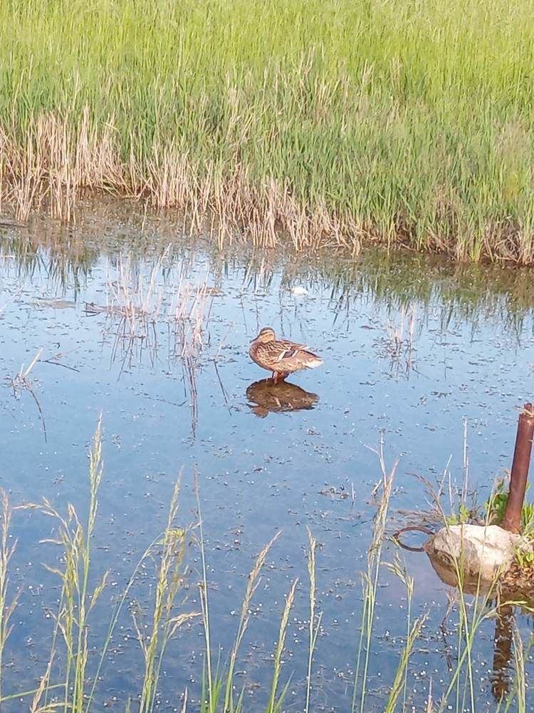 Photograph by Татьяна Пальчикова