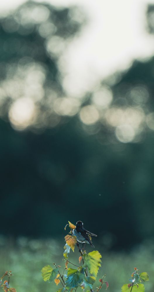 Photograph by Герман Крупенин