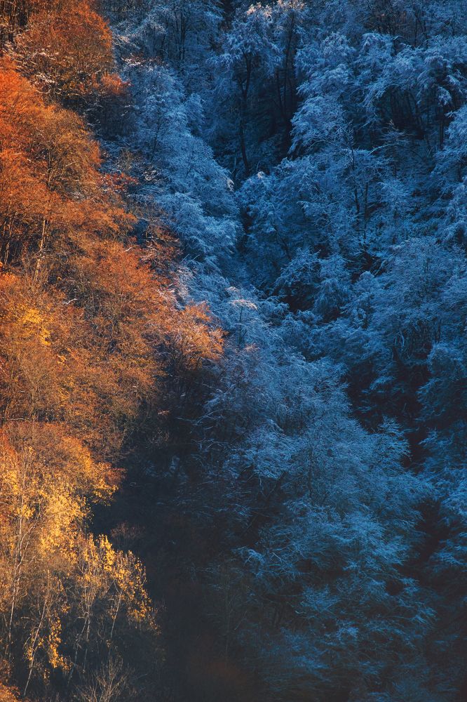 Photograph by Александр Сафронов