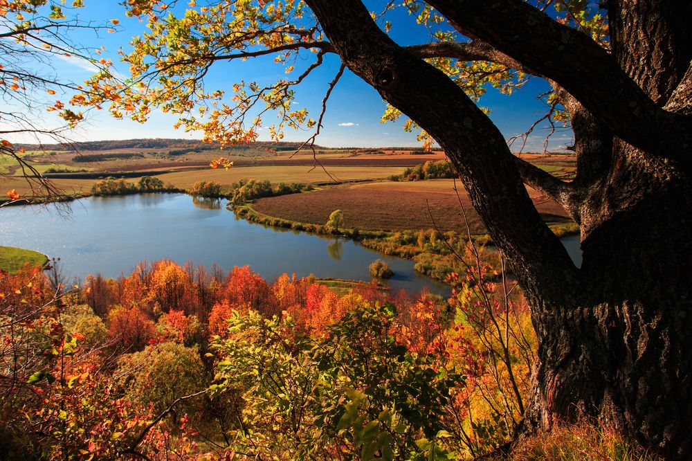 Photograph by Александр Сафронов