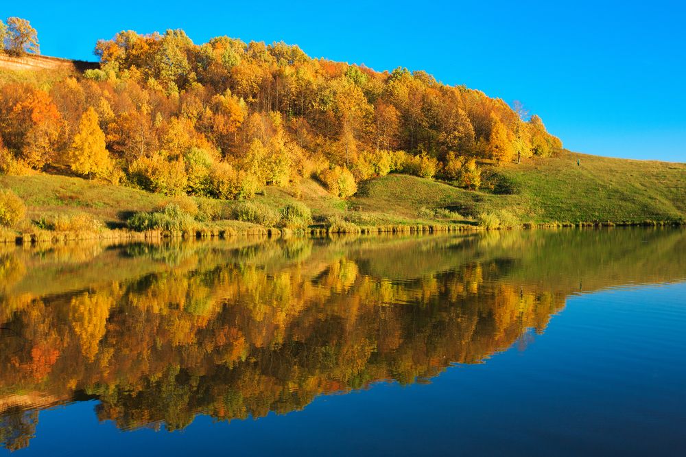 Photograph by Александр Сафронов