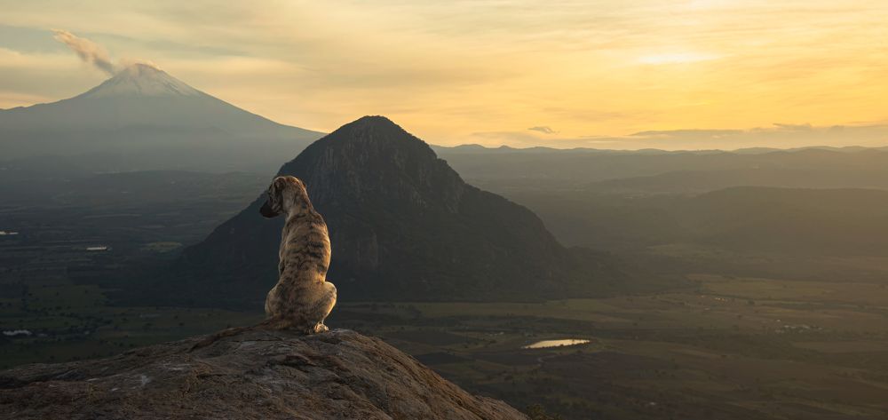 Photograph by Jaime Trejo