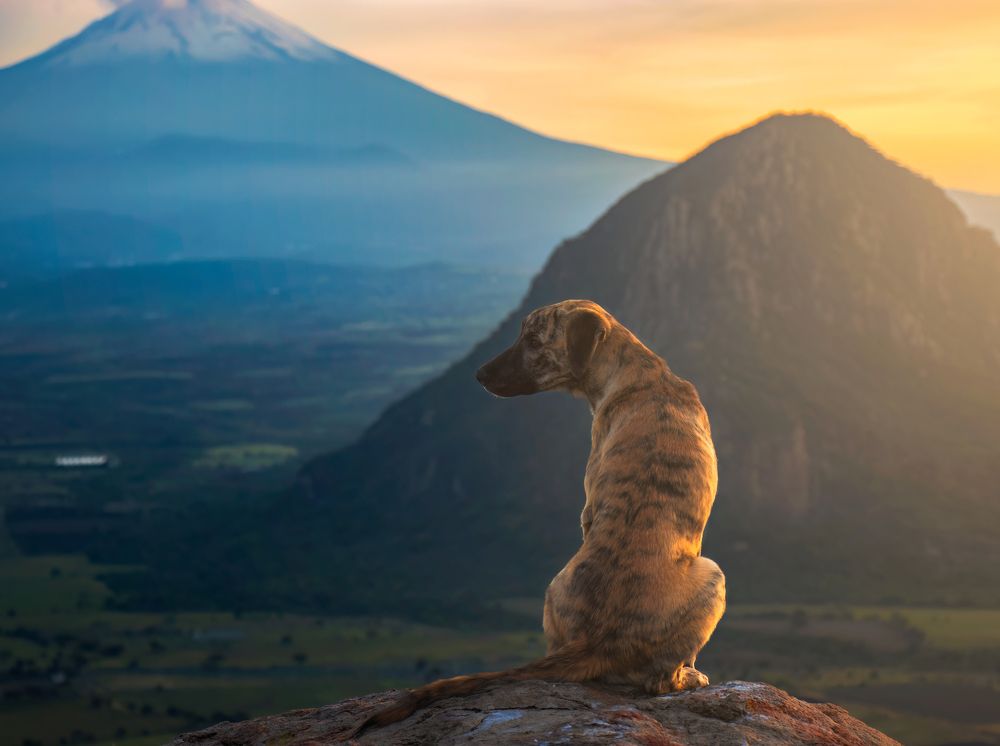 Photograph by Jaime Trejo