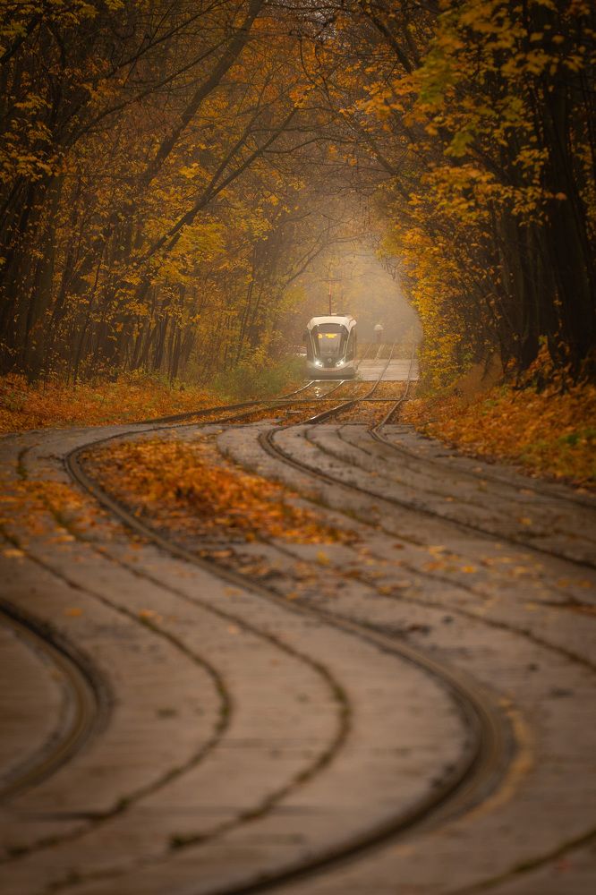 Фотография автора Светлана Зимина