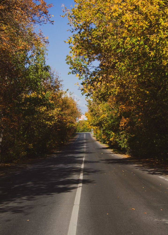 Photograph by Азамат Хатыпов