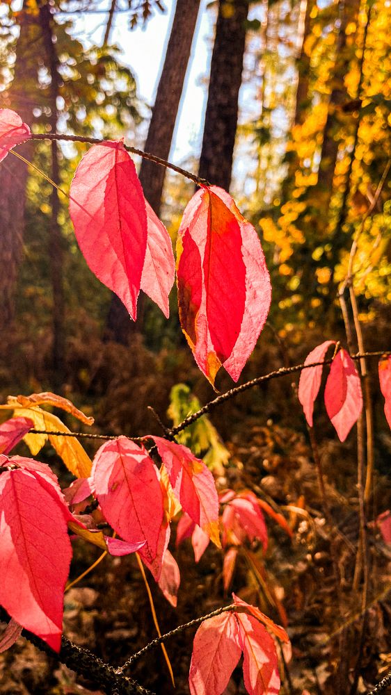 Photograph by Грим Денис