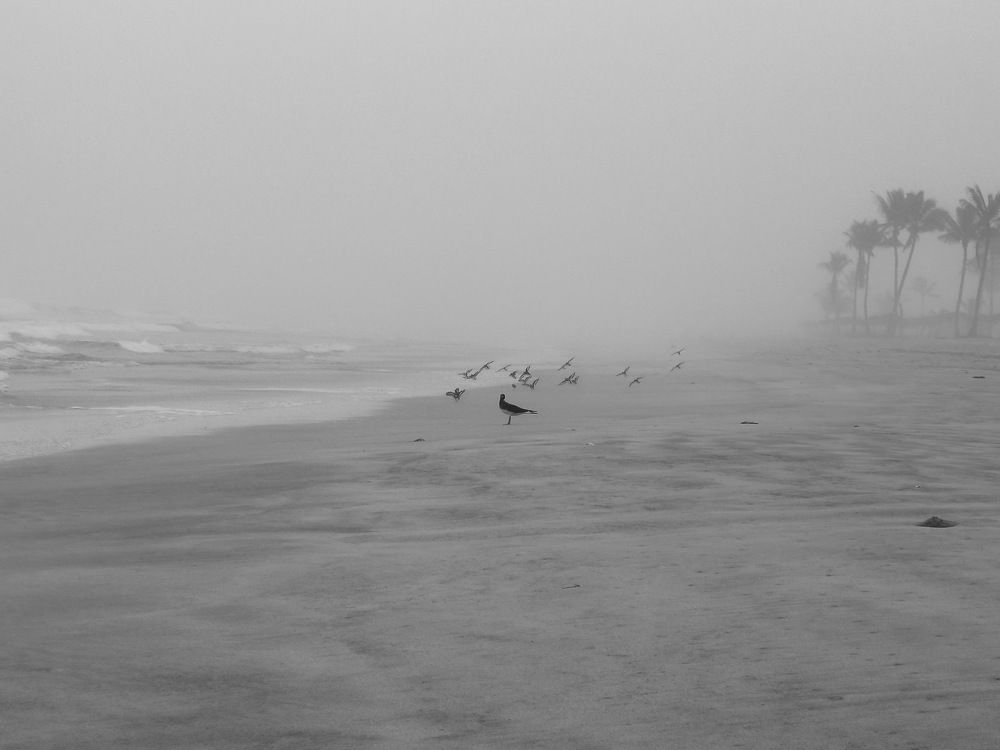 Photograph by Mohtadi Kufair