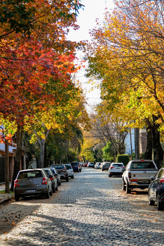 Photograph by Сергей Аверченко