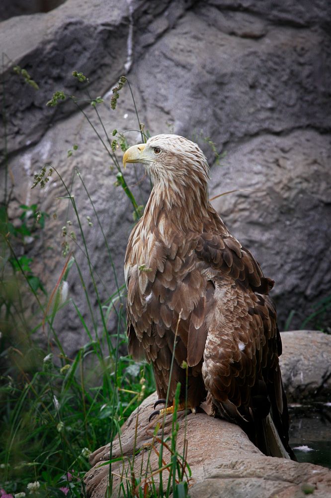 Photograph by Наталья Островцева