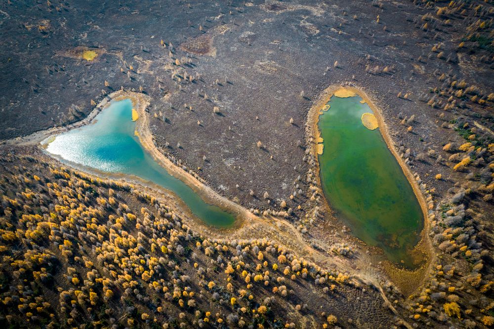 Фотография автора Антон Сандалов