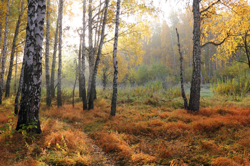Фотография автора Кухта Мария