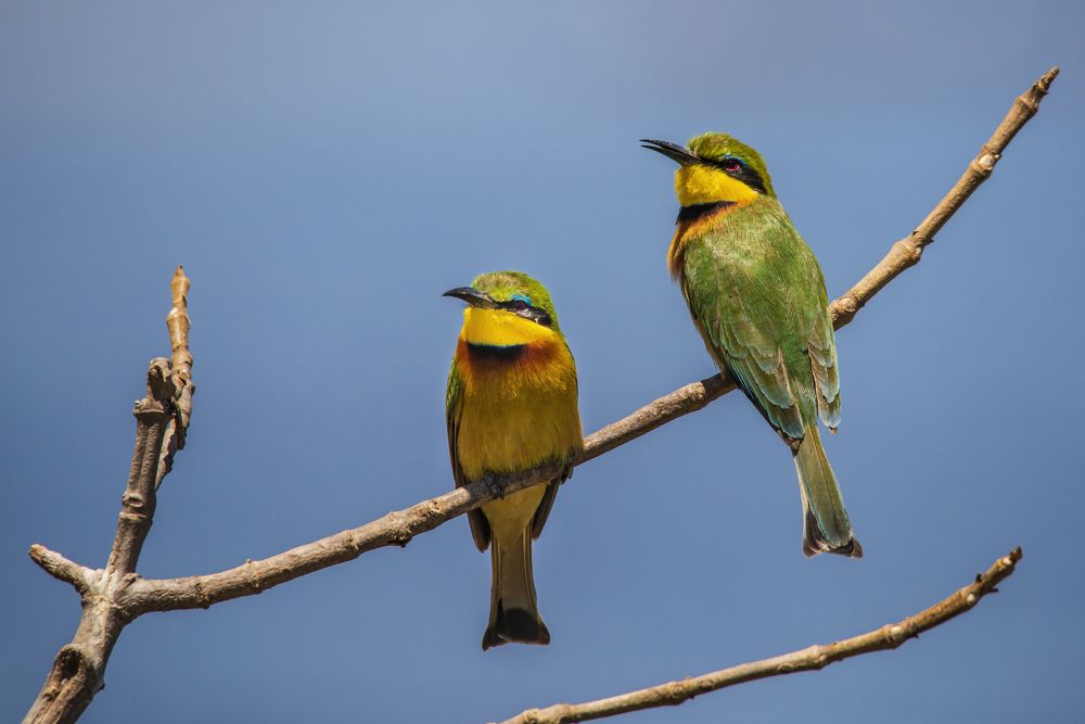 Photograph by Jorge Ivan Vasquez